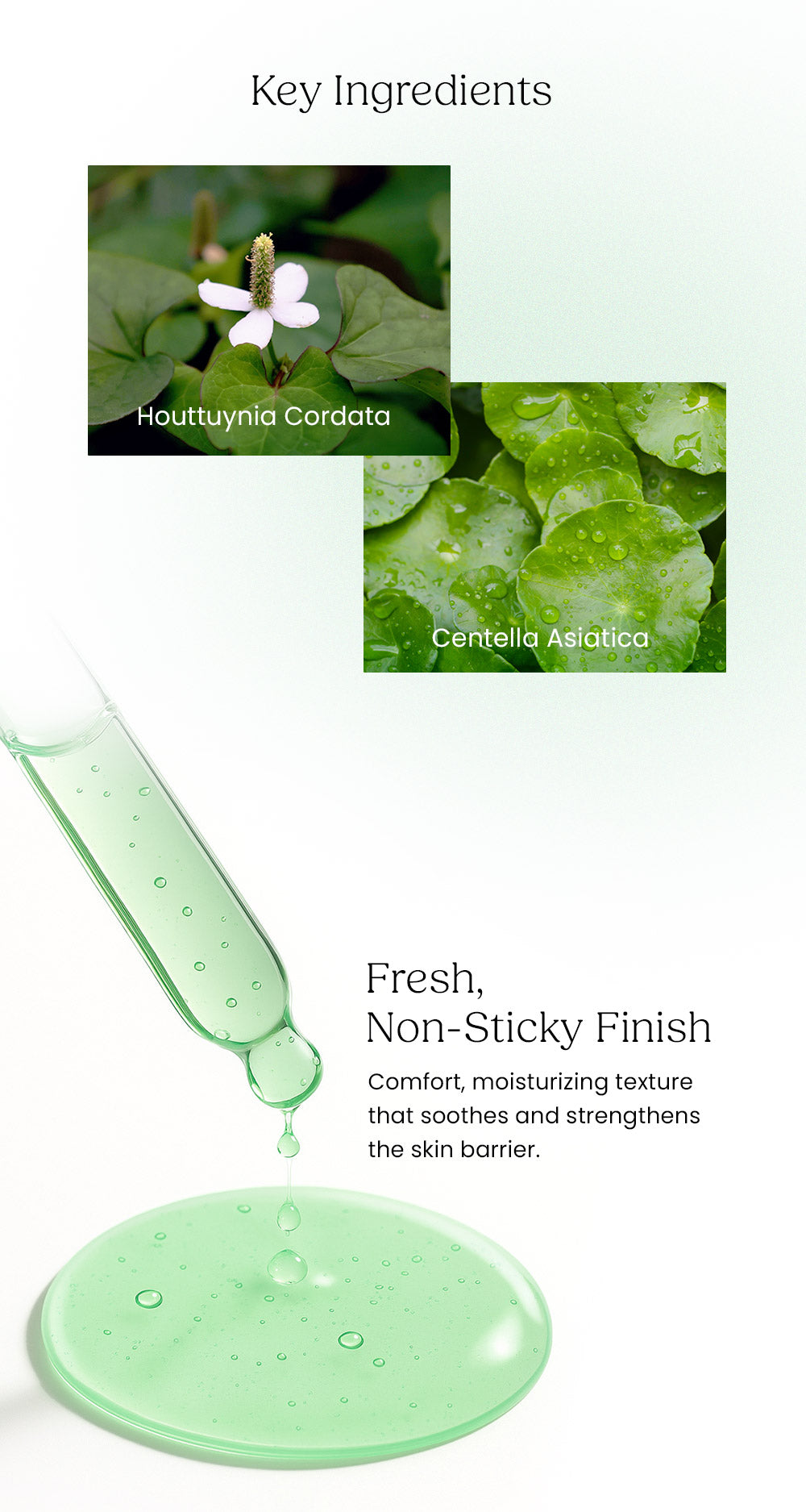 [Ollang Ollang] Heart Cica Ampoule 30ml